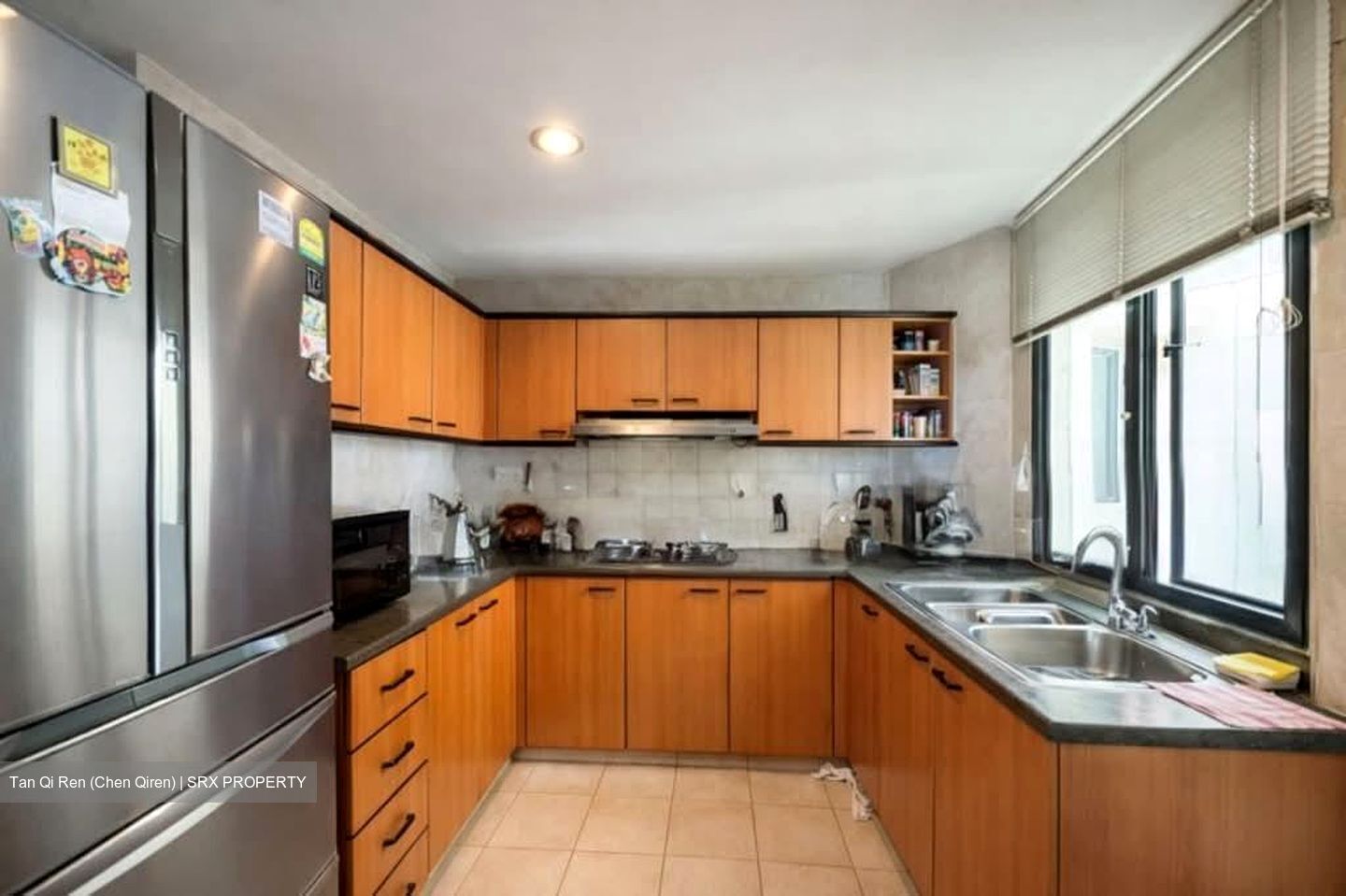 Simsville (D14), Condominium #547049471